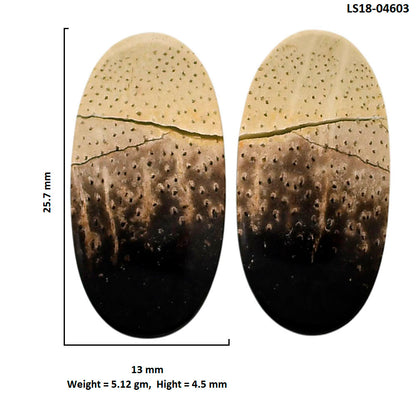 Root Plume Agate Pair 13x25.7x4.5 mm Oval Shape Polished Gemstone LS18-04603