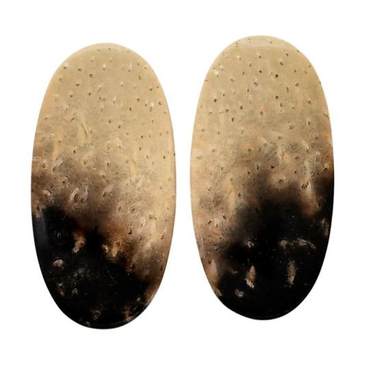 Root Plume Agate Pair 12.2x24x4.5 mm Oval Shape Polished Gemstone LS18-04604