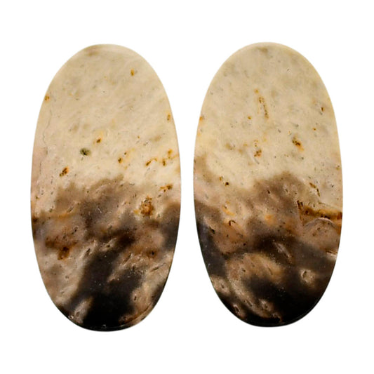Root Plume Agate Pair 13x24.8x4.5 mm Oval Shape Polished Gemstone LS18-04605