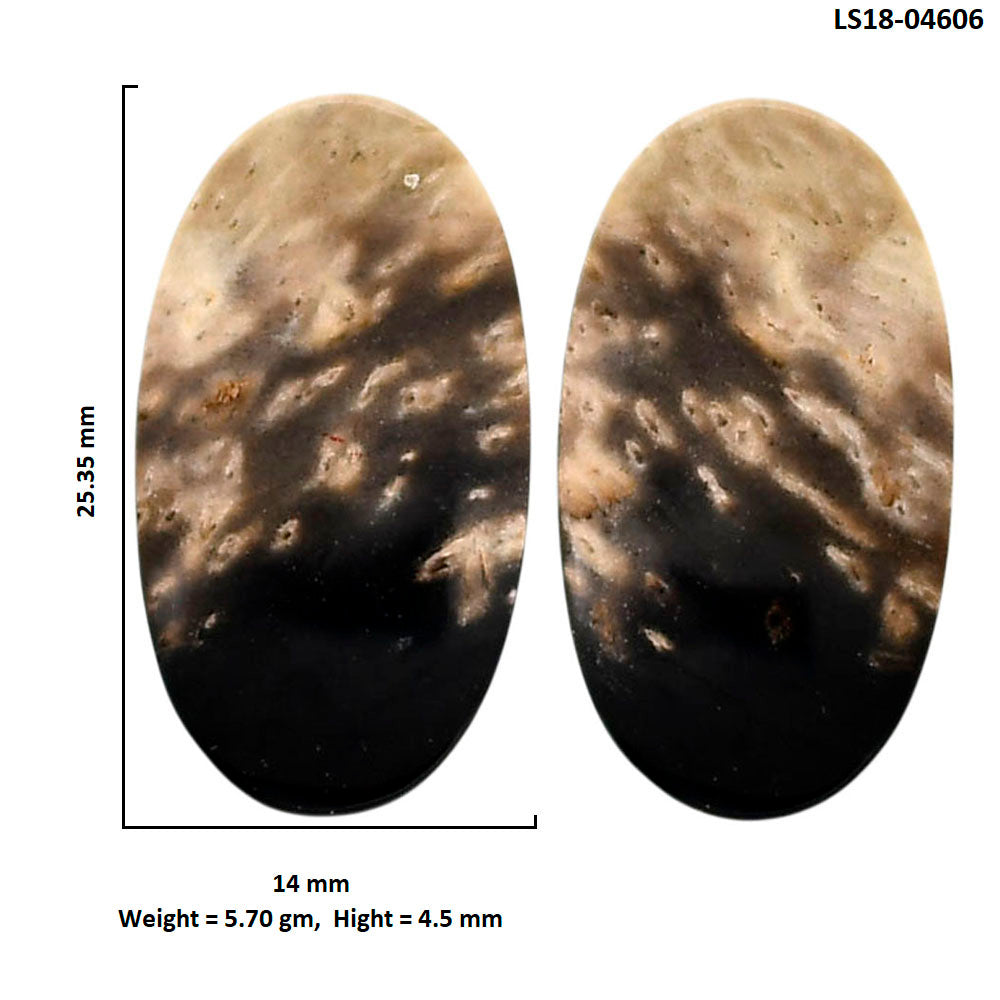 Root Plume Agate Pair 14x25.35x4.5 mm Oval Shape Polished Gemstone LS18-04606