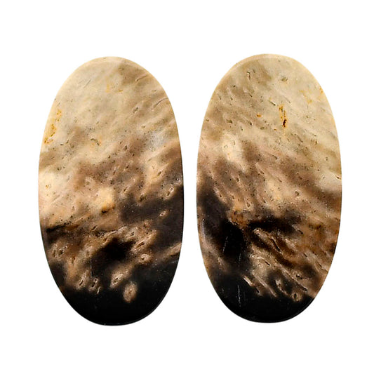 Root Plume Agate Pair 13.8x25.35x4.5 mm Oval Shape Polished Gemstone LS18-04608