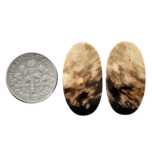 Root Plume Agate Pair 13.8x25.35x4.5 mm Oval Shape Polished Gemstone LS18-04608