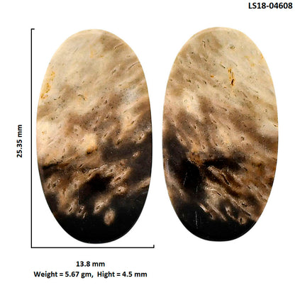 Root Plume Agate Pair 13.8x25.35x4.5 mm Oval Shape Polished Gemstone LS18-04608