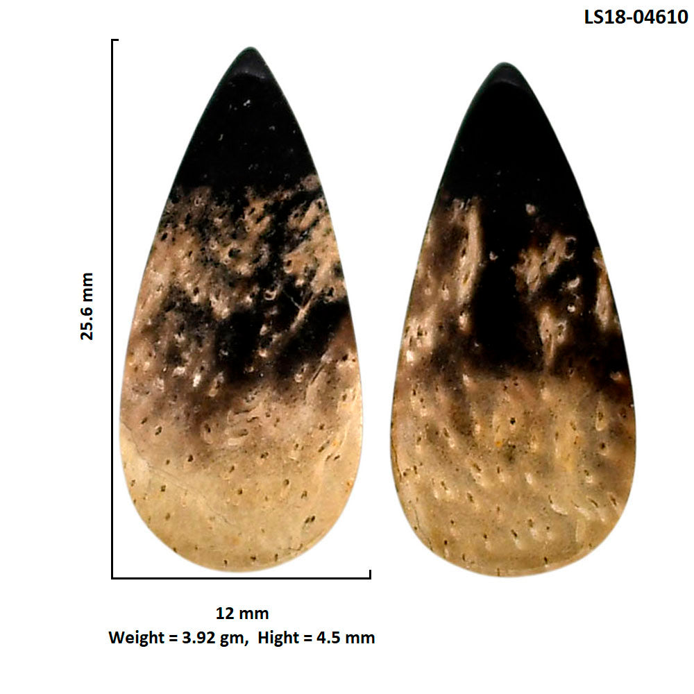 Root Plume Agate Pair 12x25.6x4.5 mm Pear Shape Polished Gemstone LS18-04610