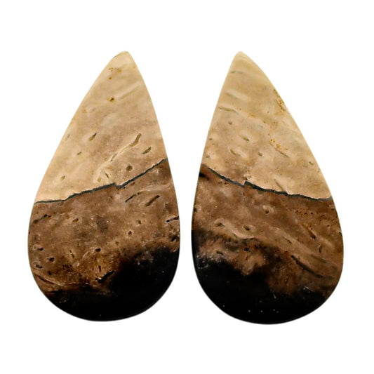 Root Plume Agate Pair 13.4x24.3x4.5 mm Pear Shape Polished Gemstone LS18-04611
