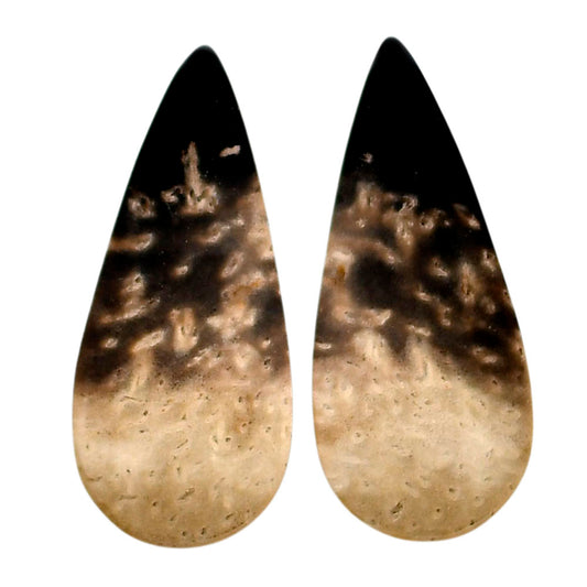 Root Plume Agate Pair 13.5x31x4 mm Pear Shape Polished Gemstone LS18-04612