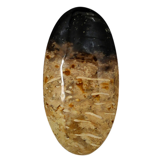 Root Plume Agate 22.15x43.15x6 mm Oval Shape Polished Gemstone LS18-05755