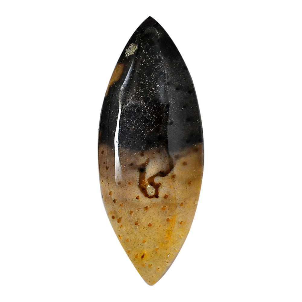 Root Plume Agate 21.7x54.85x6 mm Marquise Shape Polished Gemstone LS18-05756