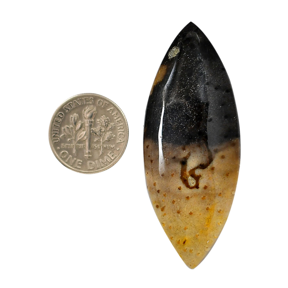 Root Plume Agate 21.7x54.85x6 mm Marquise Shape Polished Gemstone LS18-05756