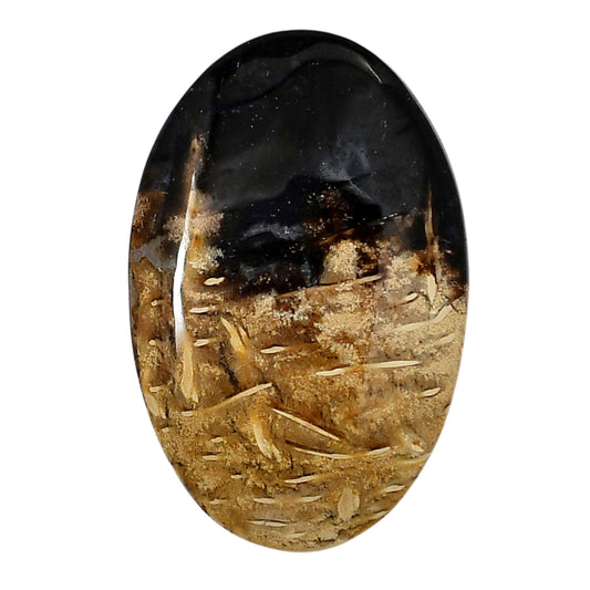 Root Plume Agate 28.45x43.8x6 mm Oval Shape Polished Gemstone LS18-05757