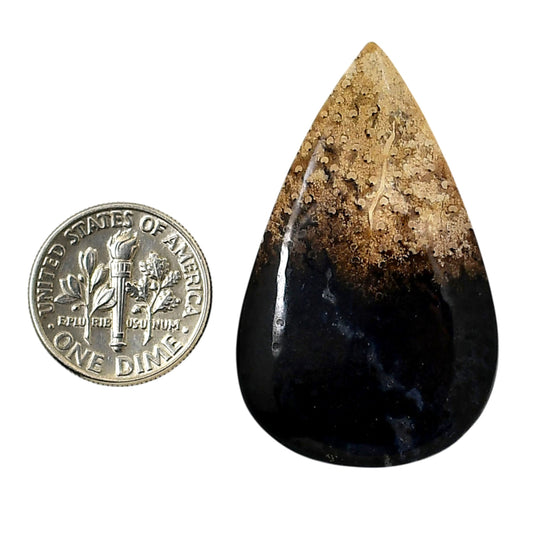 Root Plume Agate 25.3x41.25x5 mm Pear Shape Polished Gemstone LS18-05758