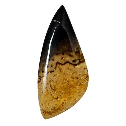 Root Plume Agate 22.85x51.9x5 mm Fancy Shape Polished Gemstone LS18-05759