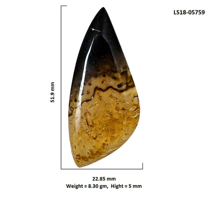 Root Plume Agate 22.85x51.9x5 mm Fancy Shape Polished Gemstone LS18-05759