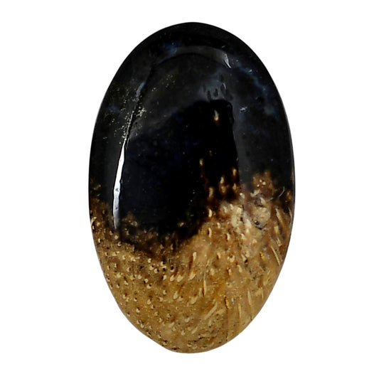 Root Plume Agate 23.35x37.25x6 mm Oval Shape Polished Gemstone LS18-05760