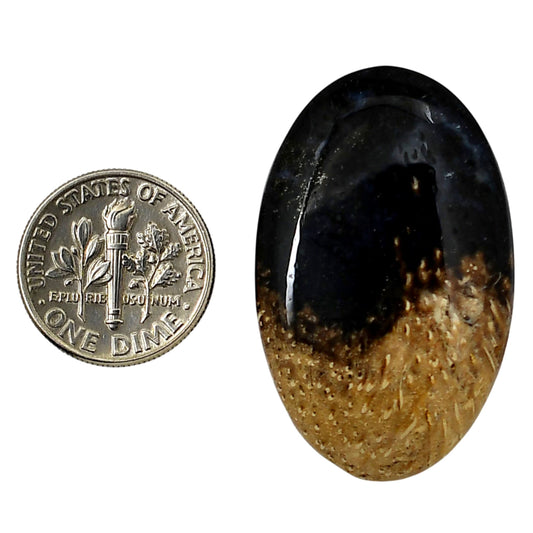 Root Plume Agate 23.35x37.25x6 mm Oval Shape Polished Gemstone LS18-05760