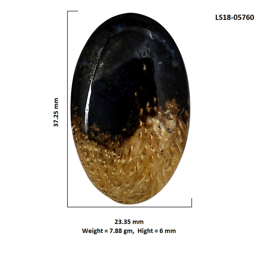 Root Plume Agate 23.35x37.25x6 mm Oval Shape Polished Gemstone LS18-05760
