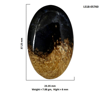 Root Plume Agate 23.35x37.25x6 mm Oval Shape Polished Gemstone LS18-05760