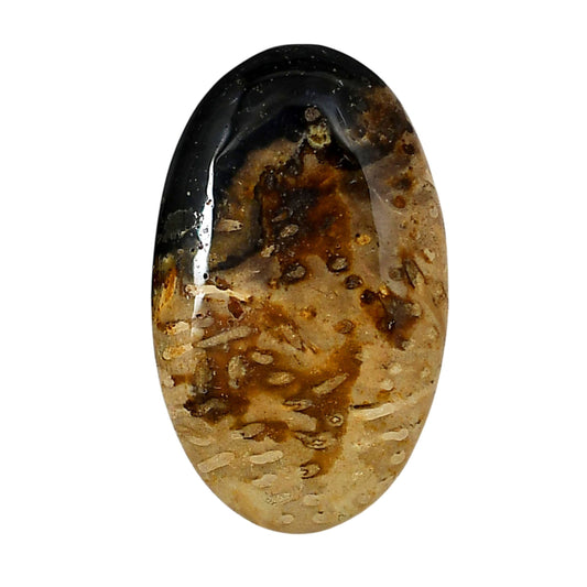 Root Plume Agate 24.6x40.5x5 mm Oval Shape Polished Gemstone LS18-05761