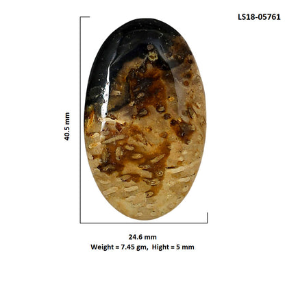 Root Plume Agate 24.6x40.5x5 mm Oval Shape Polished Gemstone LS18-05761