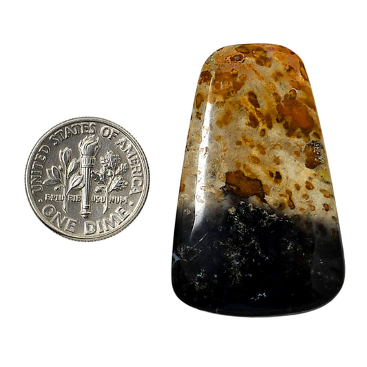 Root Plume Agate 39x24.75x5 mm Fancy Shape Polished Gemstone LS18-05762