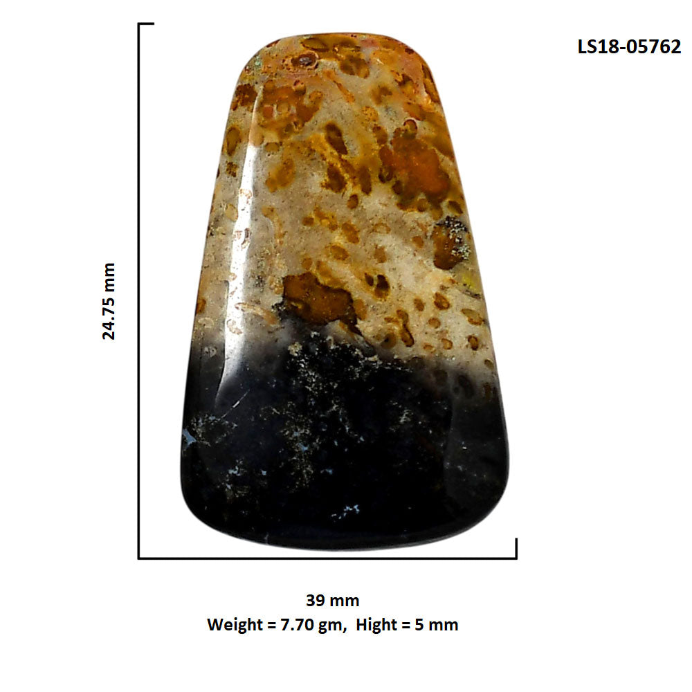 Root Plume Agate 39x24.75x5 mm Fancy Shape Polished Gemstone LS18-05762