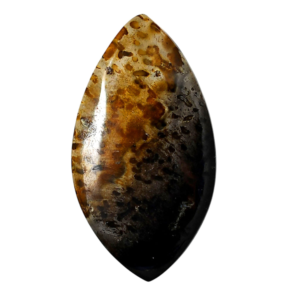 Root Plume Agate 24.35x44.8x4 mm Marquise Shape Polished Gemstone LS18-05763