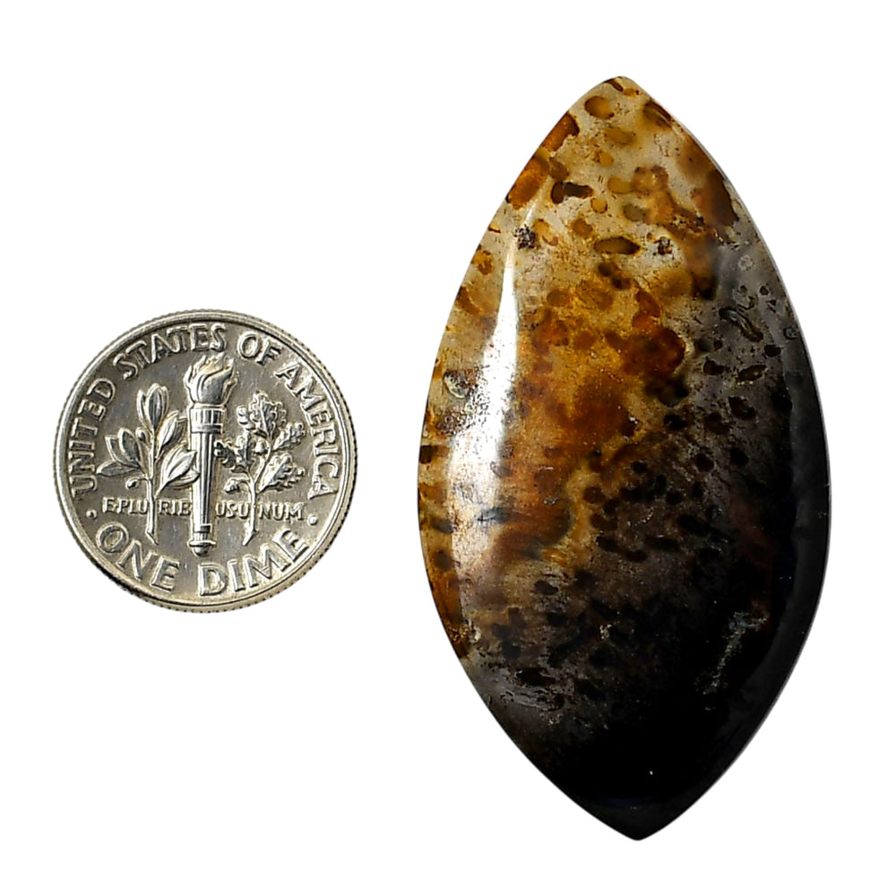 Root Plume Agate 24.35x44.8x4 mm Marquise Shape Polished Gemstone LS18-05763