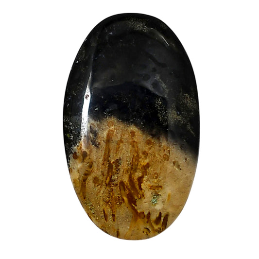 Root Plume Agate 22.35x37.2x6 mm Oval Shape Polished Gemstone LS18-05764