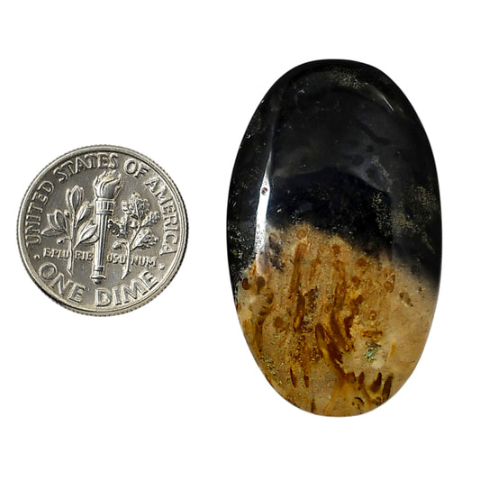 Root Plume Agate 22.35x37.2x6 mm Oval Shape Polished Gemstone LS18-05764