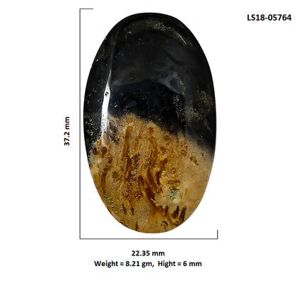 Root Plume Agate 22.35x37.2x6 mm Oval Shape Polished Gemstone LS18-05764