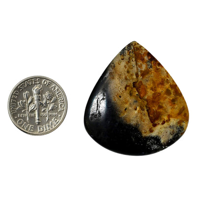 Root Plume Agate 31.3x34.1x5 mm Heart Shape Polished Gemstone LS18-05765