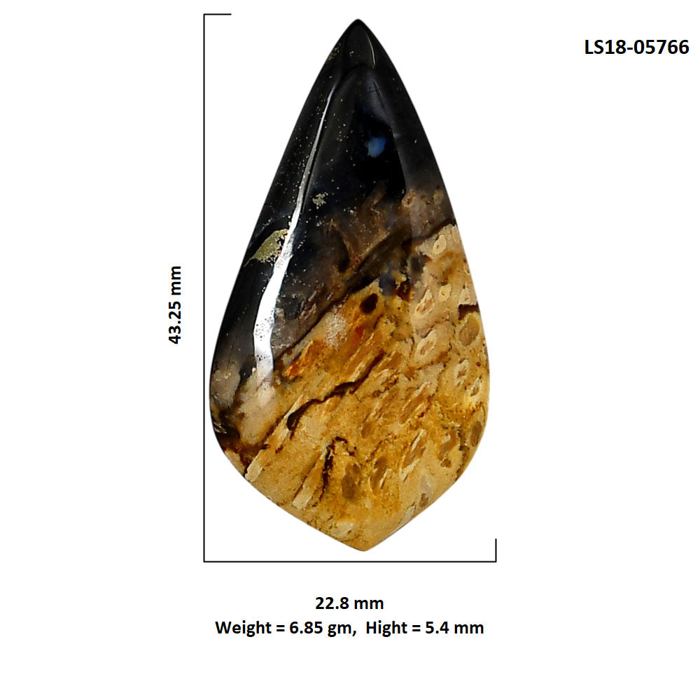 Root Plume Agate 22.8x43.25x5.4 mm Fancy Shape Polished Gemstone LS18-05766