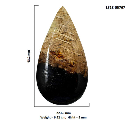 Root Plume Agate 22.65x43.2x5 mm Pear Shape Polished Gemstone LS18-05767