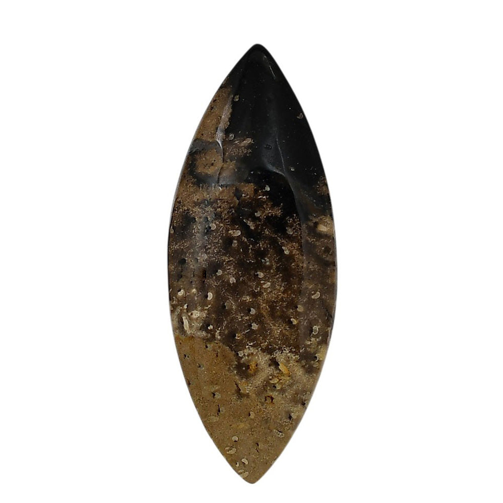 Root Plume Agate 19.6x50.8x5 mm Marquise Shape Polished Gemstone LS18-05768