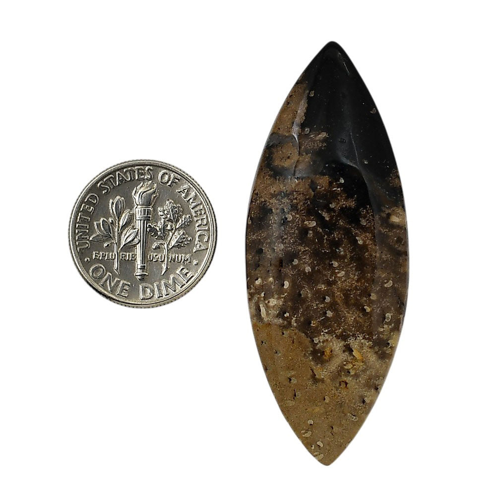 Root Plume Agate 19.6x50.8x5 mm Marquise Shape Polished Gemstone LS18-05768