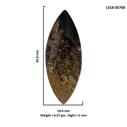 Root Plume Agate 19.6x50.8x5 mm Marquise Shape Polished Gemstone LS18-05768