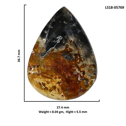 Root Plume Agate 27.4x36.7x5.5 mm Pear Shape Polished Gemstone LS18-05769