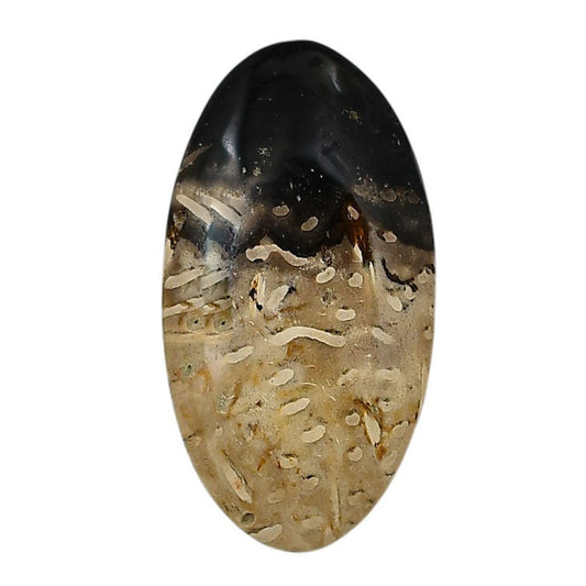 Root Plume Agate 21.4x39.9x5 mm Oval Shape Polished Gemstone LS18-05770