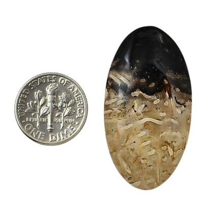 Root Plume Agate 21.4x39.9x5 mm Oval Shape Polished Gemstone LS18-05770