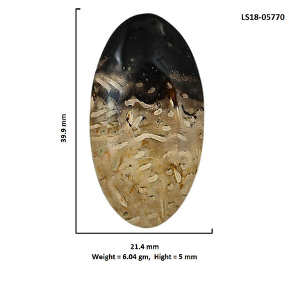 Root Plume Agate 21.4x39.9x5 mm Oval Shape Polished Gemstone LS18-05770