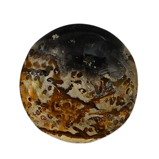 Root Plume Agate 26.7x26.7x5 mm Round Shape Polished Gemstone LS18-05771
