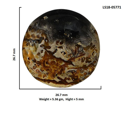 Root Plume Agate 26.7x26.7x5 mm Round Shape Polished Gemstone LS18-05771