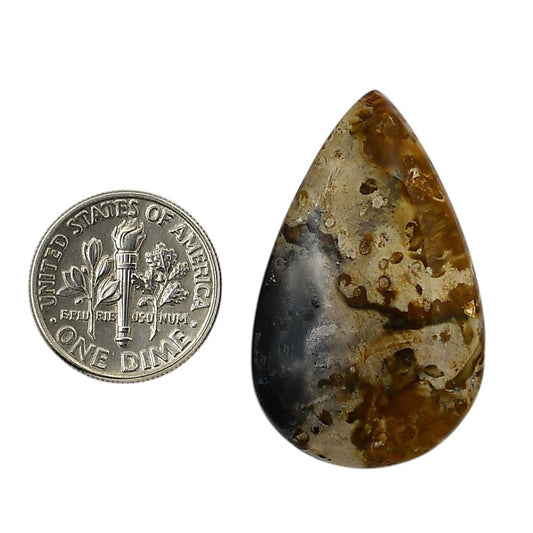 Root Plume Agate 21.6x35x5 mm Pear Shape Polished Gemstone LS18-05772