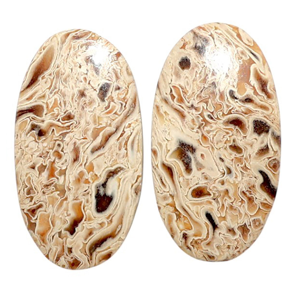 Root Plume Agate Pair 13.5x25.15x4 mm Oval Shape Polished Gemstone LS18-07833