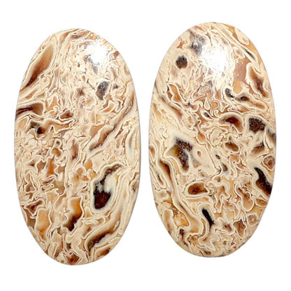Root Plume Agate Pair 13.5x25.15x4 mm Oval Shape Polished Gemstone LS18-07833