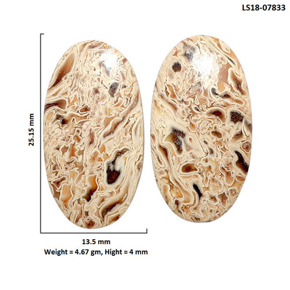 Root Plume Agate Pair 13.5x25.15x4 mm Oval Shape Polished Gemstone LS18-07833