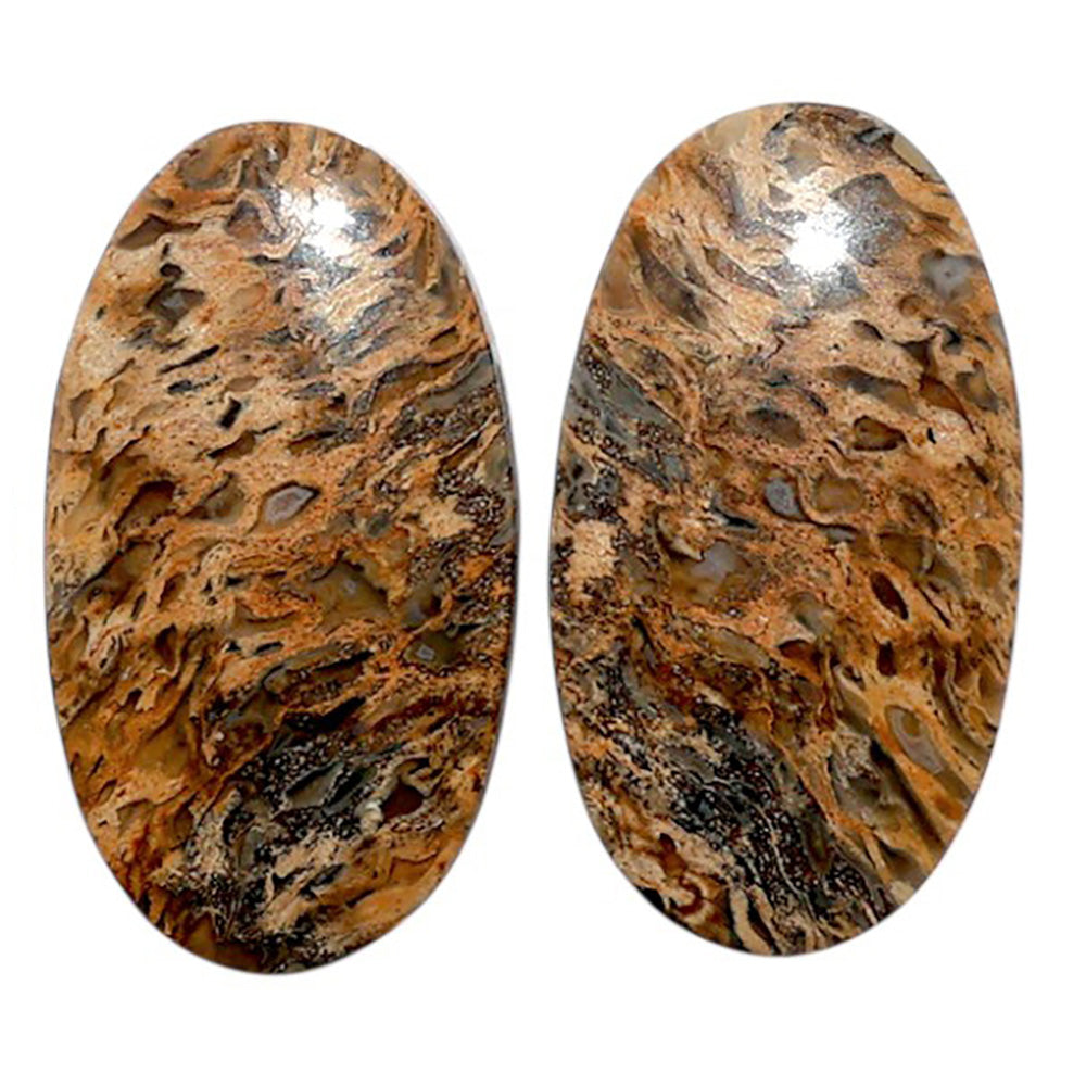 Root Plume Agate Pair 13.6x24.5x4.3 mm Oval Shape Polished Gemstone LS18-07834