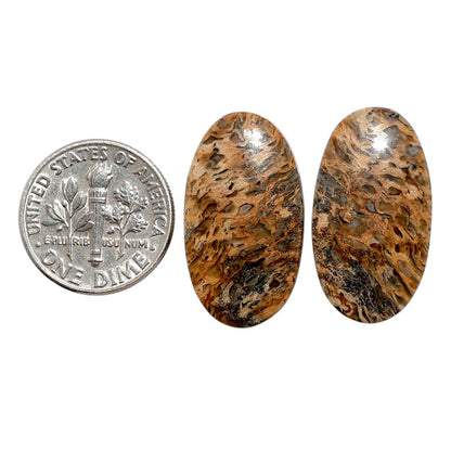 Root Plume Agate Pair 13.6x24.5x4.3 mm Oval Shape Polished Gemstone LS18-07834