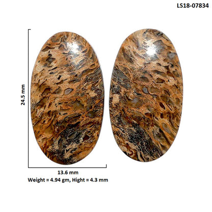 Root Plume Agate Pair 13.6x24.5x4.3 mm Oval Shape Polished Gemstone LS18-07834