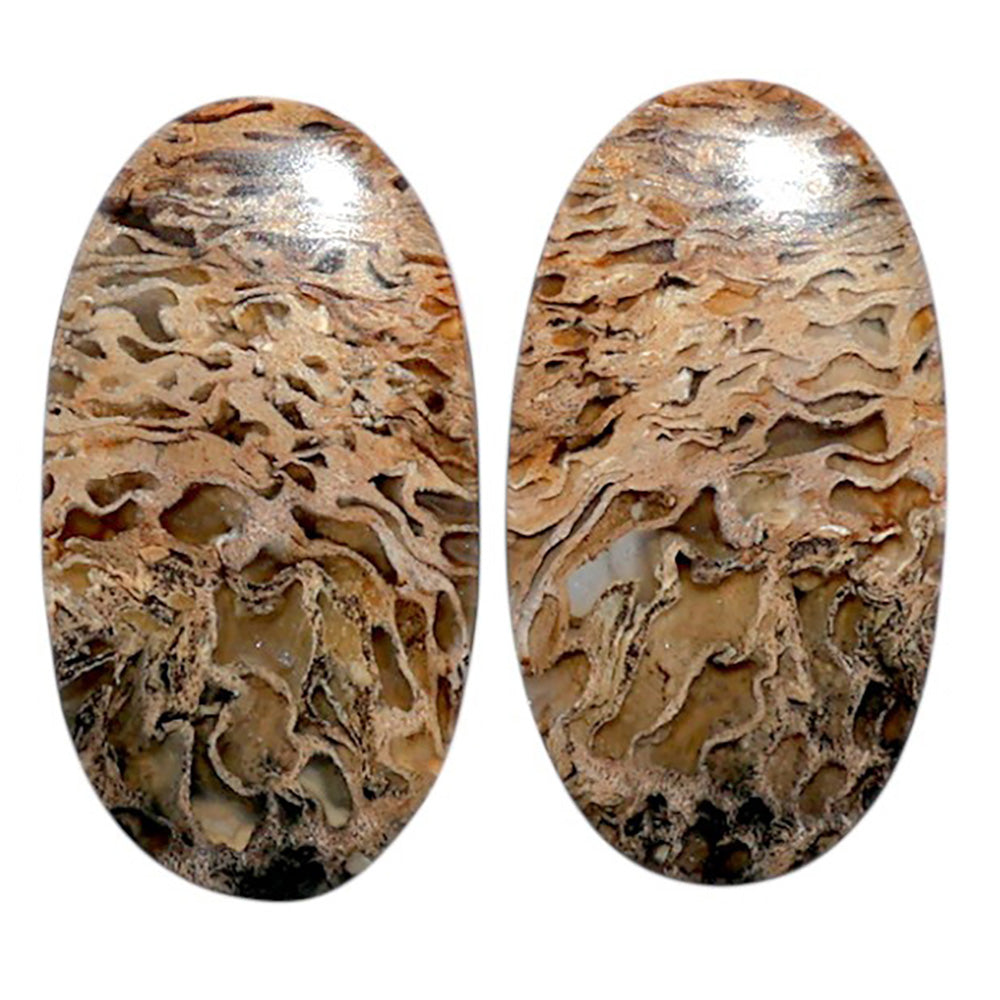 Root Plume Agate Pair 14x25.5x4 mm Oval Shape Polished Gemstone LS18-07835